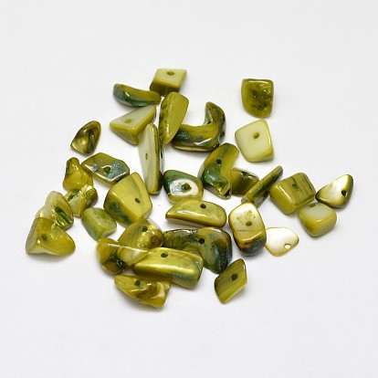 Dyed Natural Freshwater Shell Chips Beads, Shell Shards, 7~11x5~8mm, Hole: 1mm, about 980pcs/500g