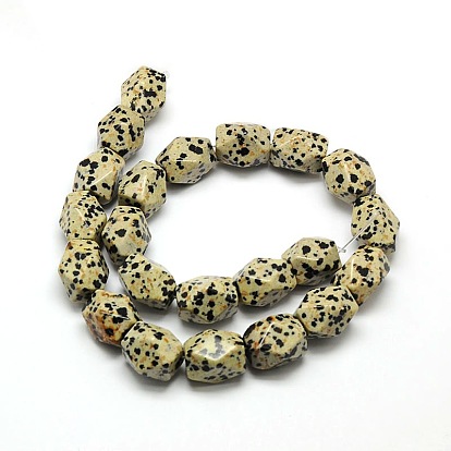 Natural Dalmatian Jasper Faceted Rhombus Beads Strands, 18x13x12mm, Hole: 1mm, about 22pcs/strand, 15.74 inch