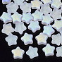 Electroplate Glass Beads, Frosted, Star