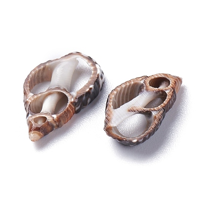 Perles de coquillage en spirale naturelle, pas de trous / non percés