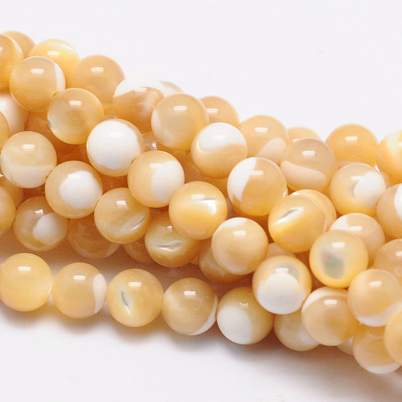 Brins de perles rondes en coquillage naturel