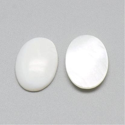 Cabochons de concha de agua dulce, oval