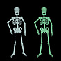 Modelo de esqueleto de plástico luminoso, brillan en la oscuridad, para decoración de broma de halloween