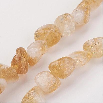 Природных драгоценных камней самородок цитрин бисера пряди, 16~22x8~16x6~8 мм, отверстие : 1 мм, около 21 шт / нитка, 16 дюйм