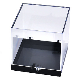Polystyrene Display Case Specimen Box, Cube Organizer Stand, with Black Base