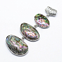 Brass Abalone Shell Oval Big Pendants, with Scarf Bail Beads, Undyed