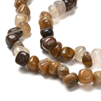 Natural Petrified Wood Beads Strands, Tumbled Stone, Nuggets