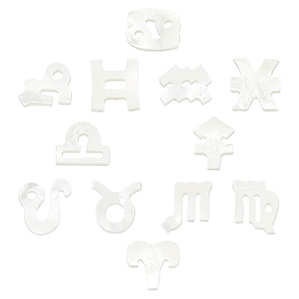 SUNNYCLUE Natural White Shell Beads, Mother of Pearl Shell Beads, Top Drilled Beads, 12 Constellation/Zodiac Sign