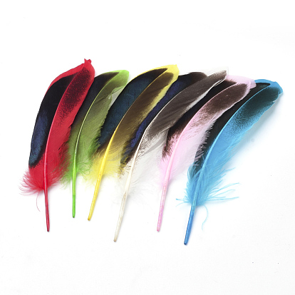 Accessoires de costume en plumes, teint