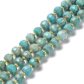 Natural Howlite Beads Strands, Dyed, Faceted, Rondelle, with Seed Beads