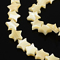 Звезды натуральные белые оболочки бисер пряди, перламутровые бусы, 7~8x7~9x3 мм, отверстие : 0.5 мм, около 62 шт / нитка, 15.9 дюйм