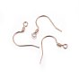 304 Stainless Steel Earring Hooks, Ear Wire, with Horizontal Loop