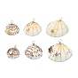 Natural Clam Shell Copper Wire Wrapped Pendants, Dyed Shell Chams with Brass Star Beads