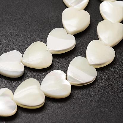 Brins de perles de coquille de trochid / trochus shell, cœur, 12x12x4mm, Trou: 1mm, Environ 35 pcs/chapelet, 15.75 pouce