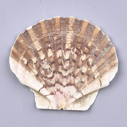 Natural Scallop Shell Beads, Sea Shell Beads, Undrilled/No Hole Beads