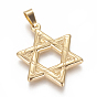 Pendentifs en acier inoxydable, pour juif, étoile de david