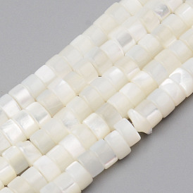 Natural Trochid Shell/Trochus Shell Beads Strands, Flat Round