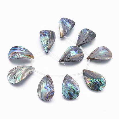 Natural Abalone Shell/Paua Shell Beads Strands, Top Drilled Beads, Teardrop
