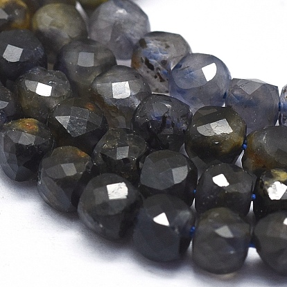 Natural Iolite Beads Strands, with Gold Point, Gradient Style, Square, Faceted