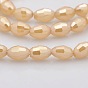 Pearl Luster Plated Glass Faceted Rice Beads Strands, 6x4mm, Hole: 1mm, about 72pcs/strand, 16 inch