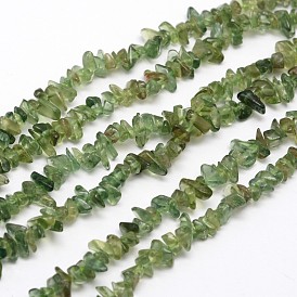Чипсы природные зеленые пряди бусины апатит, 3~8x3~12x3~5 мм, отверстие : 1 мм, о 16 дюйме