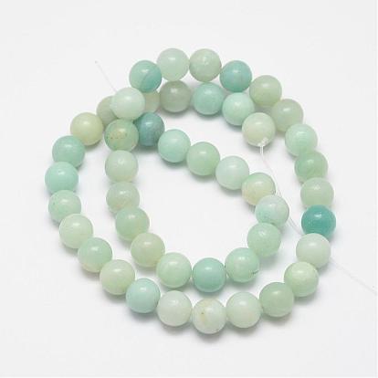 Brins ronds de perles amazonite naturel