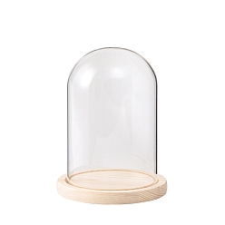 Bogenkuppelabdeckung aus Glas, dekorative Vitrine, Cloche Bell Jar Terrarium mit Holzsockel