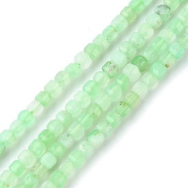 Natural Chrysoprase Beads Strands, Faceted, Cube