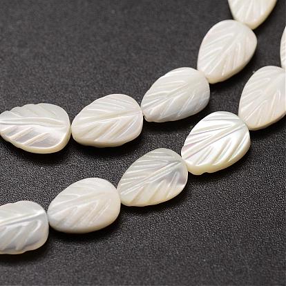 Natural Trochid Shell/Trochus Shell Beads Strands, Leaf, 9x6x3~4mm, Hole: 1mm, about 44pcs/strand, 15.35