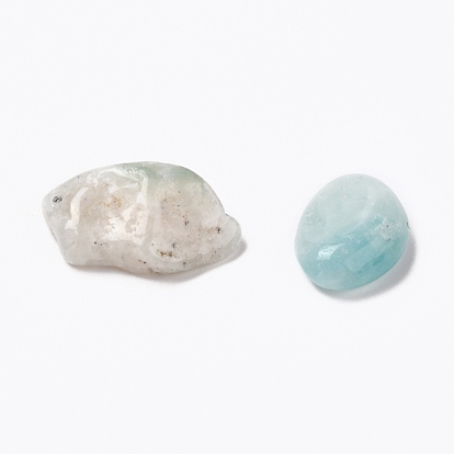 Natural Flower Amazonite Beads, Undrilled/No Hole, Chips