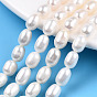 Natural Cultured Freshwater Pearl Beads Strands, Rice