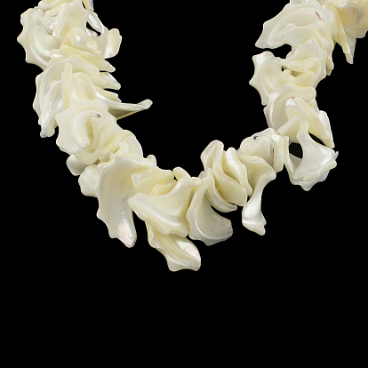 Chips Natural Sea Shell Beads Strands, Shell Shards, 17~31x10~25x3~18mm, Hole: 1mm, about 68pcs/strand, 15.7 inch