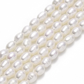 Natural Cultured Freshwater Pearl Beads Strands, Rice