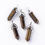 Natural Gemstone Double Terminated Pointed Pendants, with Platinum Tone Alloy Findings, Bullet