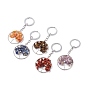 Natural Gemstone Keychain, with Alloy Split Key Rings, Ring with Tree