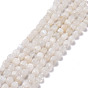 Brins de perles de pierre de lune arc-en-ciel naturel, avec des perles de rocaille, carrée