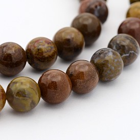 Natural Petrified Wood Round Bead Strands