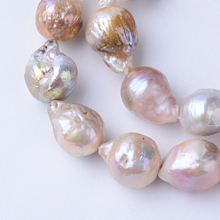 Cardo Hebras de perlas keshi de perlas barrocas naturales, perla cultivada de agua dulce, para la fabricación de joyas artesanales de bricolaje, lágrima, cardo, 15~17x11~13 mm, agujero: 0.5 mm, sobre 25 unidades / cadena, 15.9 pulgada