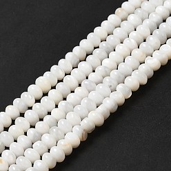 Color de la concha Cuentas de concha de perla natural hebras, Rondana plana, color de concha, 5x3 mm, agujero: 0.9 mm, sobre 114~115 unidades / cadena, 15.31~15.43'' (38.9~39.2 cm)
