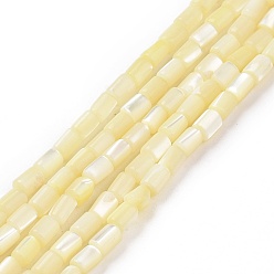 Jaune Verge D'or Brins de perles de coquillages naturels de troca, teint, colonne, jaune verge d'or clair, 5x3mm, Trou: 0.8mm, Environ 82~83 pcs/chapelet, 15.63'' (39.7 cm)