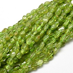 Péridot Brins de perles de péridotnuggets naturels, 5~10x6~7x3~7mm, Trou: 1mm, environ 14.9 pouces ~ 15.7 pouces