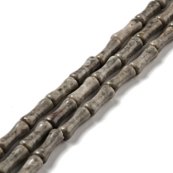 Corail Fossile Fossiles naturelle perles de corail brins, forme de colonne en bambou, 12x4~5mm, Trou: 1mm, Environ 34 pcs/chapelet, 15.71~ 15.79 pouce (39.9~40.1 cm)