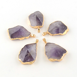 Amethyst Mixed Shape Faceted Golden Plated Natural Amethyst Pendants with Iron Clasps, 43~50x28~36x11~16mm, Hole: 6x4mm