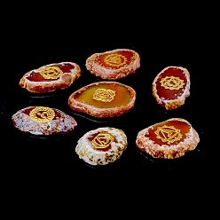Chocolate Chakra Natural Agate Nuggets Stone, Pocket Palm Stone for Reiki Balancing, Home Display Decorations, Chocolate, 30~50x5mm, 7pcs/set