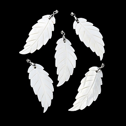 White Natural Freshwater Shell Big Pendants, Leaf Charms with Platinum Plated Brass Pinch Bails, White, 60~62x26~26.5x2.5~3mm, Hole: 5x4mm