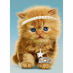 Perú Kits de pintura de diamantes con tema de gato rectangular diy, incluyendo lienzo, diamantes de imitación de resina, bolígrafo adhesivo de diamante, plato de bandeja y arcilla de cola, Perú, 300x400 mm