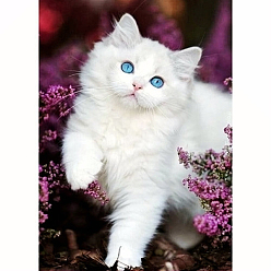 Blanco Kits de pintura de diamantes con tema de gato rectangular diy, incluyendo lienzo, diamantes de imitación de resina, bolígrafo adhesivo de diamante, plato de bandeja y arcilla de cola, blanco, 300x400 mm