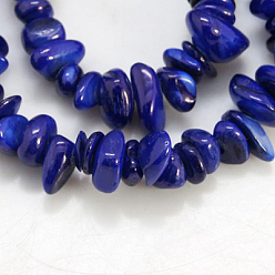 Bleu Foncé Chapelets de perles de coquillage naturel, teint, puces, bleu foncé, 5~12x5~8x1~6mm, Trou: 1mm
