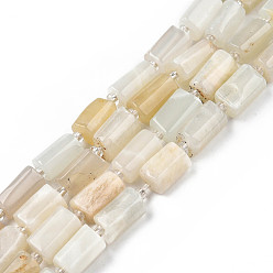 White Moonstone Natural White Moonstone Beads Strands, with Seed Beads, Faceted, Column, 8.5~12x5.5~7.5x4.5~7mm, Hole: 1.2mm, about 15~16pcs/strand, 7.09 inch~7.68 inch(18~19.5cm)