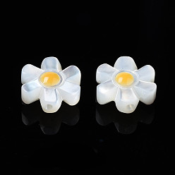 Coquillage Blanc Perles naturelles de coquillages blancs, fleur, 10x9x4mm, Trou: 0.8mm